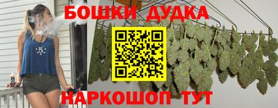 МДПВ Бийск