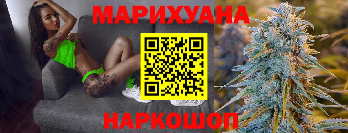 Конопля сатива Кандалакша